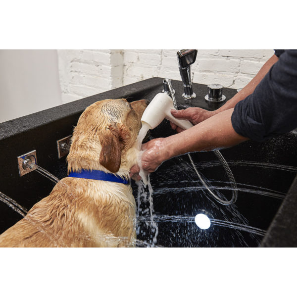 Microbubble Dog Cleaning & Grooming Station Helps Prevent Common Skin Problems